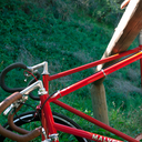 fixed-lyf-blog avatar