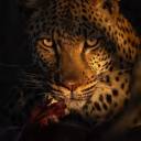 fixtionalpromises avatar