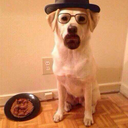 fizzle7584-blog avatar