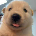 fizzyfabricyaoi avatar