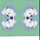 fjuczerisnow-blog avatar