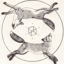 fksisebdkausvddnc-blog avatar