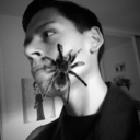 flakosavageee avatar