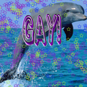 flamboyantdolphin avatar