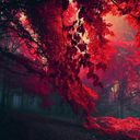 flamesbitches avatar