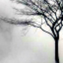 flamesfrenzied avatar