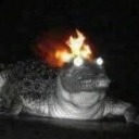 flaming-crocodile avatar