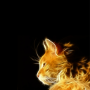 flamingcat121 avatar