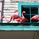 flamingo-motel avatar