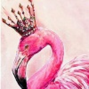 flamingo-queen-writes avatar