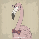 flamingo-smartmore avatar