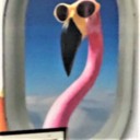 flamingobasket avatar