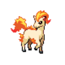 flamingponyta avatar