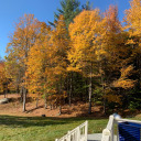 flamingtubaschasemeinmysleep avatar