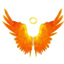 flamyangelwings avatar