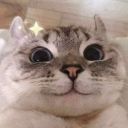 flan-anthonella avatar