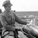 flanders-fields avatar