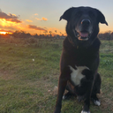 flannelandcocoa avatar