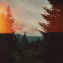 flannelsteaandgoodvibes avatar