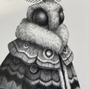 flappable-fauna avatar