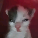 flatbreadwithgarlic avatar