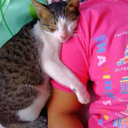 flatonbed-blog avatar