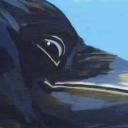 flatoutdisaster avatar