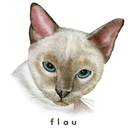 flaumusic avatar