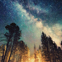 flavorless-and-gone avatar