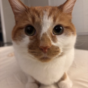 flavoured-rain avatar