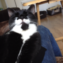 flawlesscyborg avatar