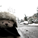 flcwersindecember avatar