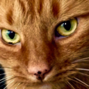 fleece-fi-fo-fum avatar