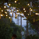 fleetingimage avatar