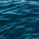 fleetinginterest avatar