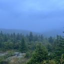 fleetingthrill avatar