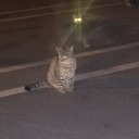 fleetstreetss avatar