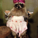 fleetwooddear avatar