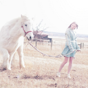 fleurdellise-blog avatar