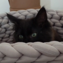 fleurtationships avatar