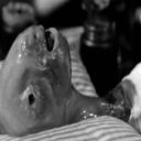 flibbertygigget avatar