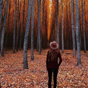 flickeringlightssss avatar