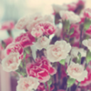 flight-of-fancy7 avatar