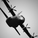 flight-of-life avatar