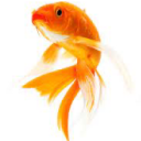 flightsfancy22 avatar