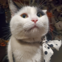 flimsyatbesttheflimsiest avatar