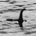 flintapologism avatar