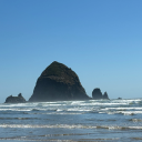 flippitydodah avatar