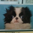 flleetwoodmac avatar