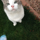 float-a-ghost avatar